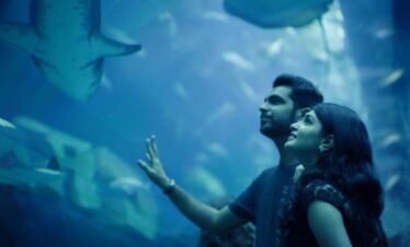 Dubai Aquarium and Underwater Zoo