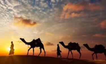 Overnight Safari Abu Dhabi