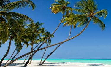 Scenic Maldives