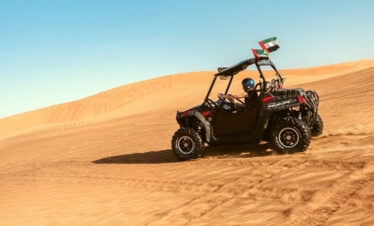 Desert Buggy Driving Experience